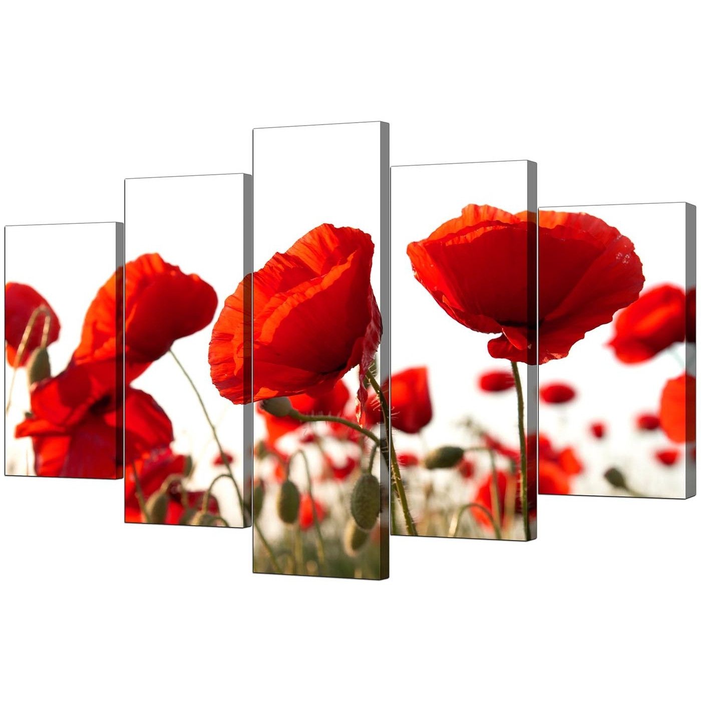 Featured Photo of 15 Photos Red Poppy Canvas Wall Art