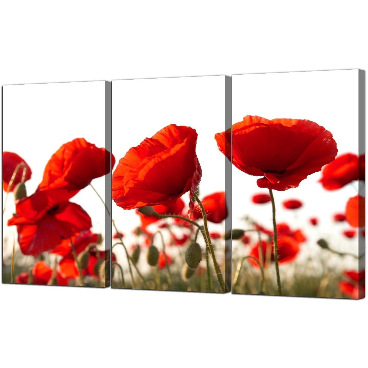 15 Collection of Red Flowers Canvas Wall Art