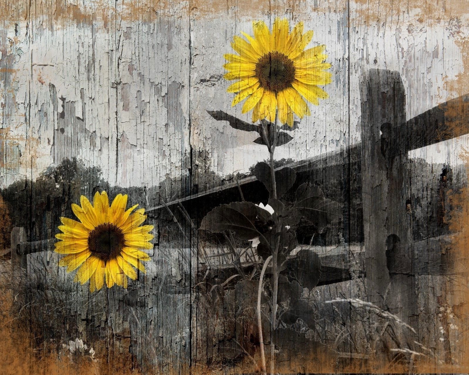 2024-best-of-sunflower-wall-art